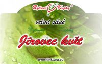 J�rovec - kv�t