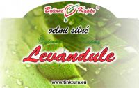 Levandule - kv�t
